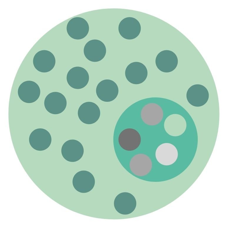 A large circle filled with green dots, in which is a smaller circle with dots of different colors: integration