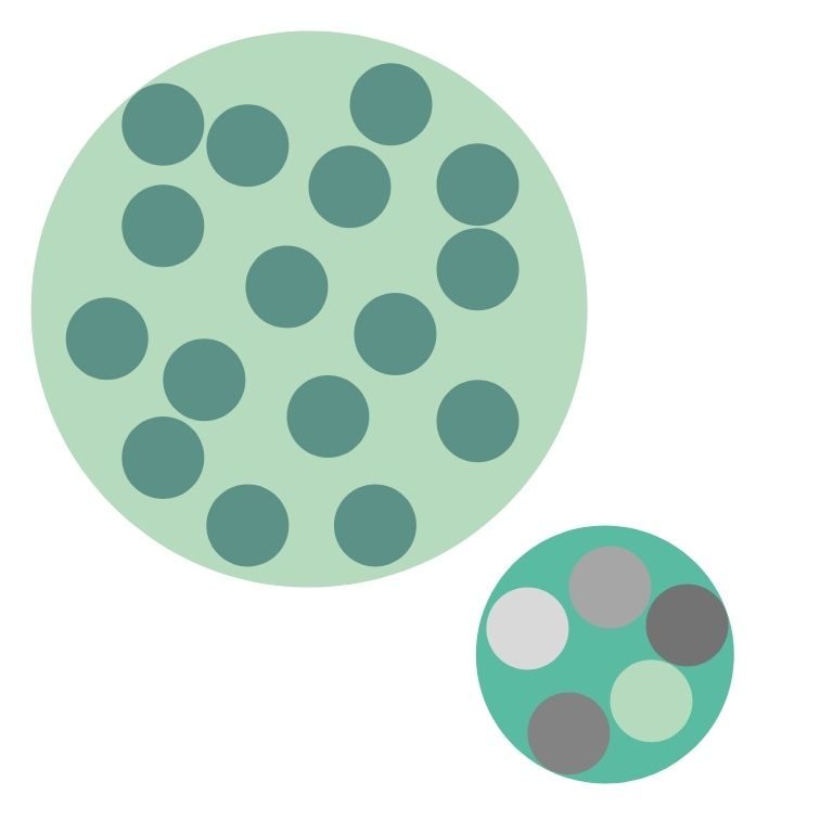 Two circles: a large one with many identical green dots and a smaller one with a few different colored dots: segegration